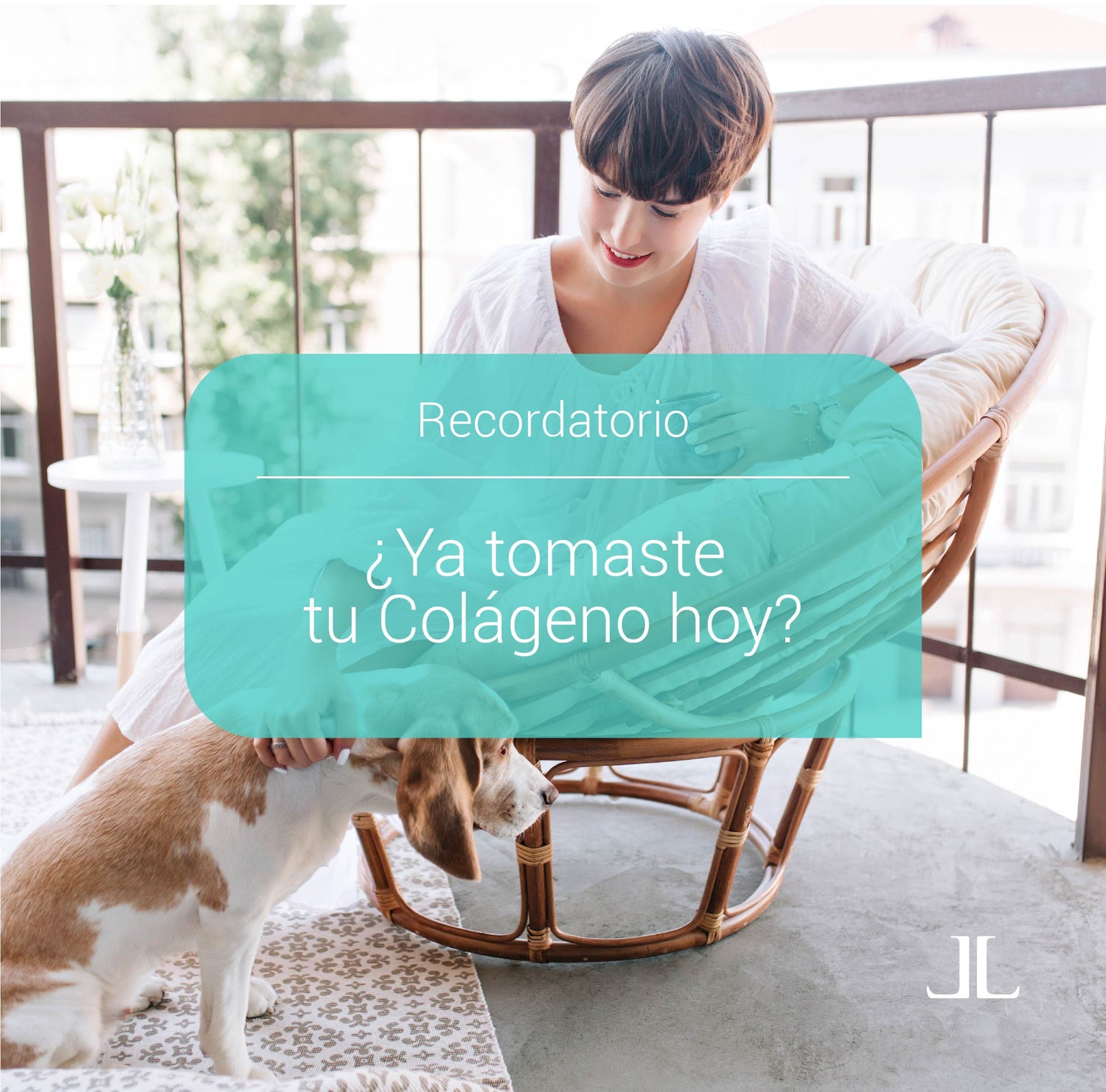 Colágenos Hidrolizados